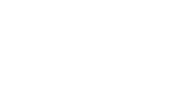 PLX — Parallaxlogic Infotech